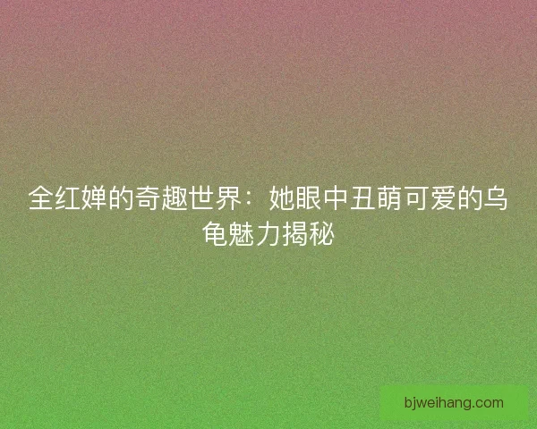 全红婵的奇趣世界：她眼中丑萌可爱的乌龟魅力揭秘