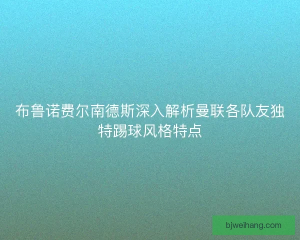 布鲁诺费尔南德斯深入解析曼联各队友独特踢球风格特点